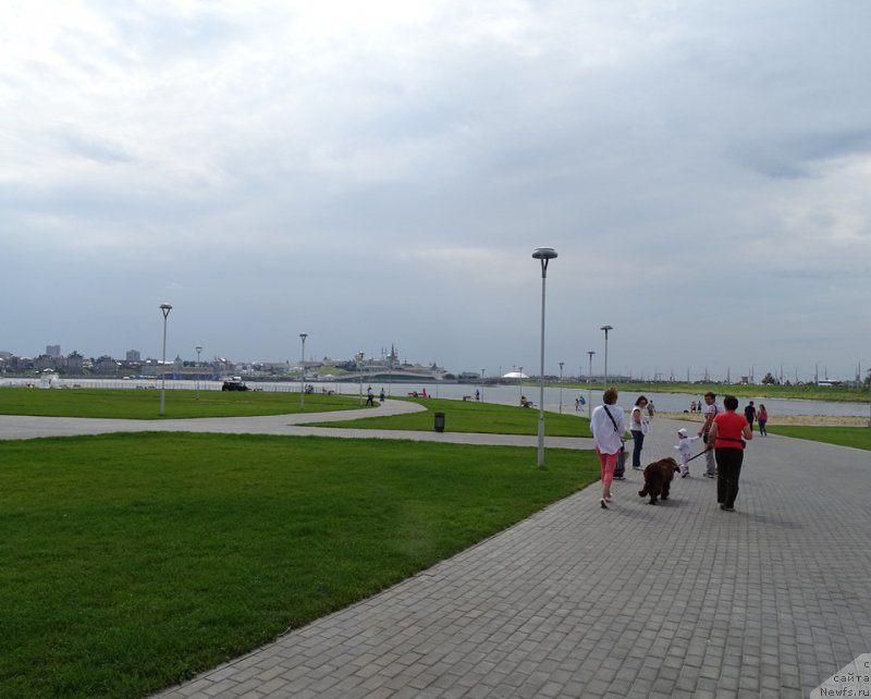 Фото: ньюфаундленд N'yufort Vivian (Ньюфорт Вивиан), Galiya Gizatullina (Галия Гизатуллина), YEl'za CHernova (Эльза Чернова)