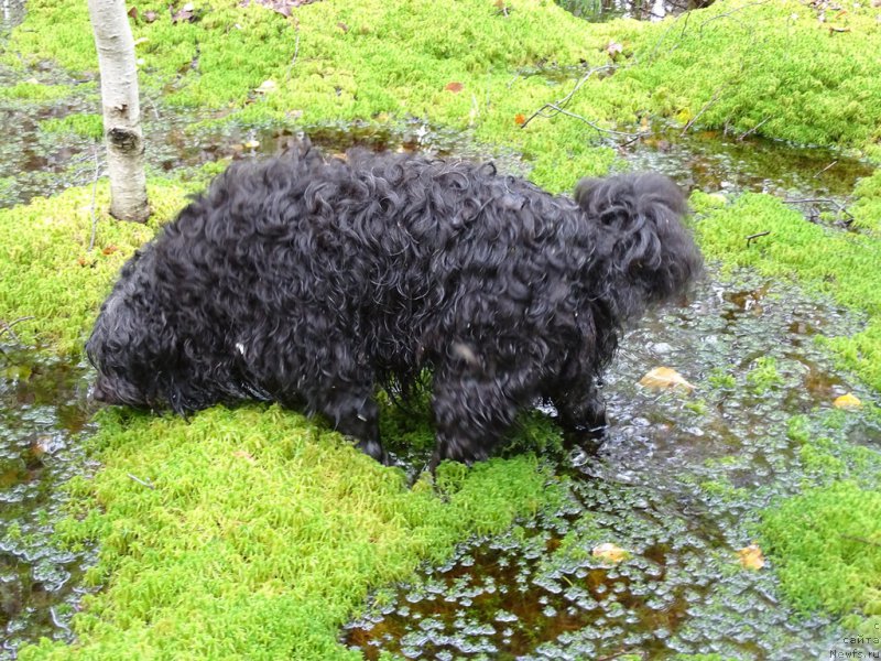 Фотография № 188021