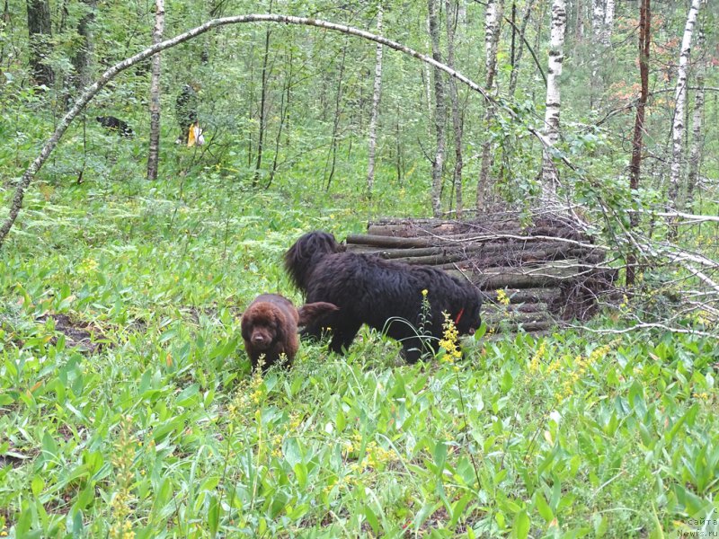 Фотография № 188033