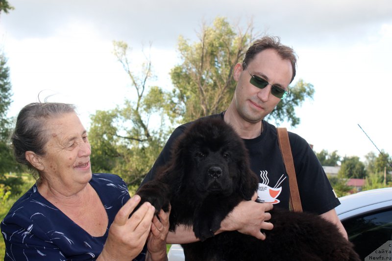 Фотография № 188039