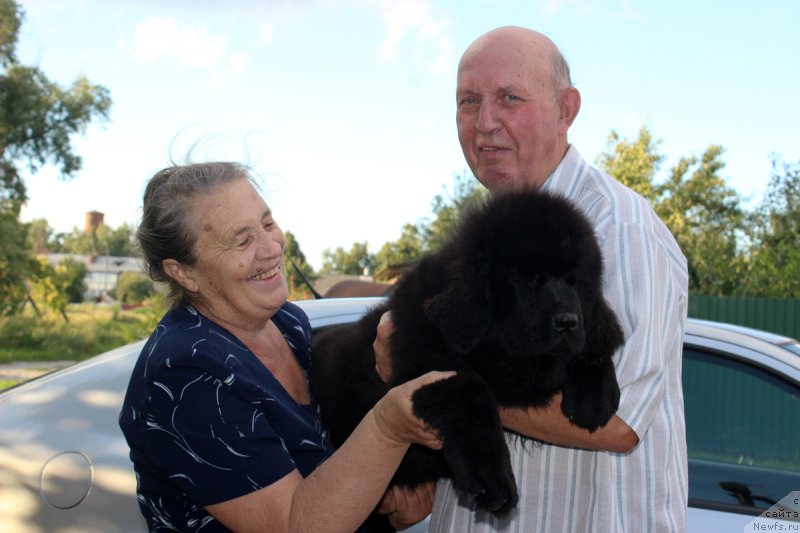 Фотография № 188040