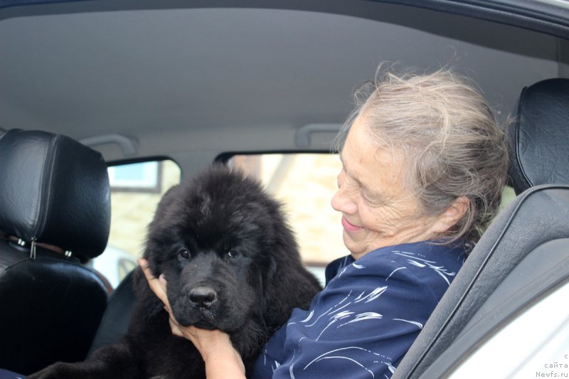 Фотография № 188041