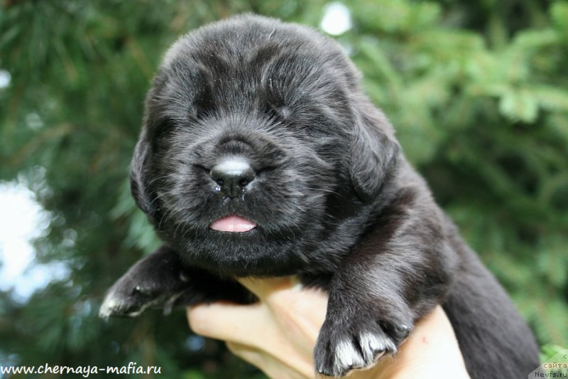 Фотография № 188051