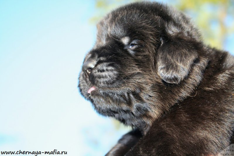 Фотография № 188056