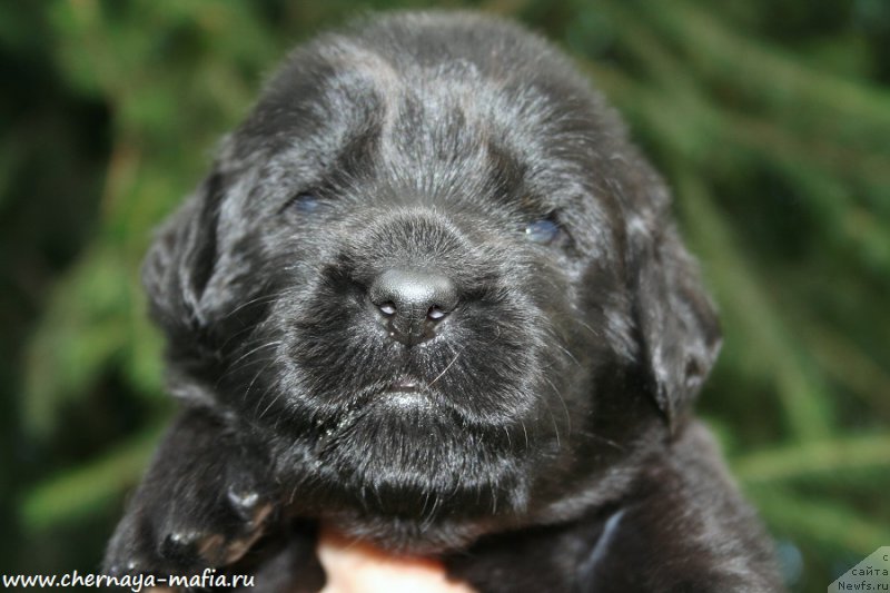 Фотография № 188058