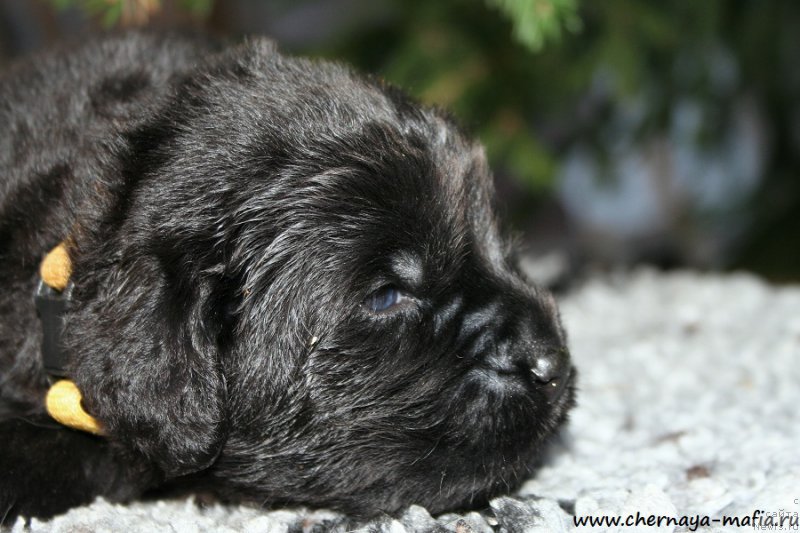 Фотография № 188059