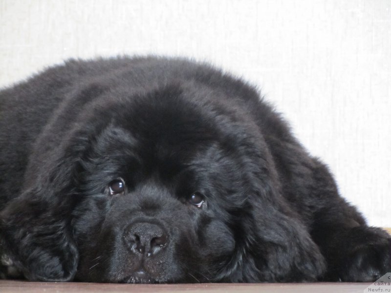 Фото: Nadejda Pashina (Надежда Пасхина)