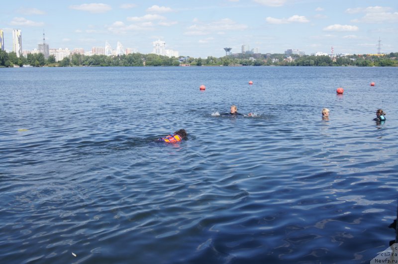 Фотография № 188065