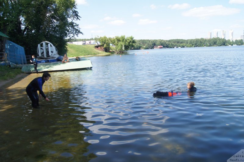 Фото: Elena Bogdanova (Елена Богданова), ньюфаундленд Angel Khranitel Gruffidd (Ангел Хранитель Граффидд), Antonina CHigvinceva (Антонина Чигвинцева)