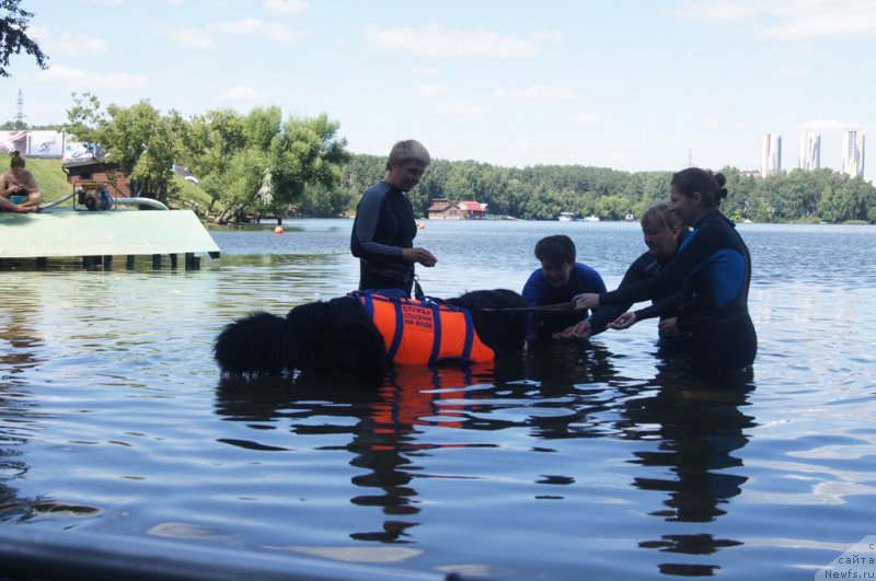 Фотография № 188068