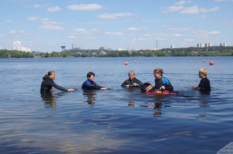 Фотография № 188070