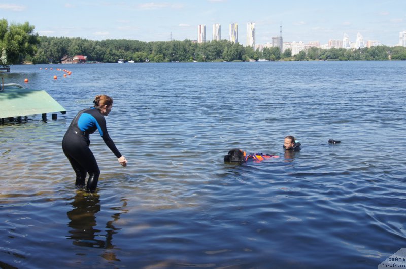 Фотография № 188071