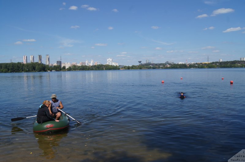 Фотография № 188078