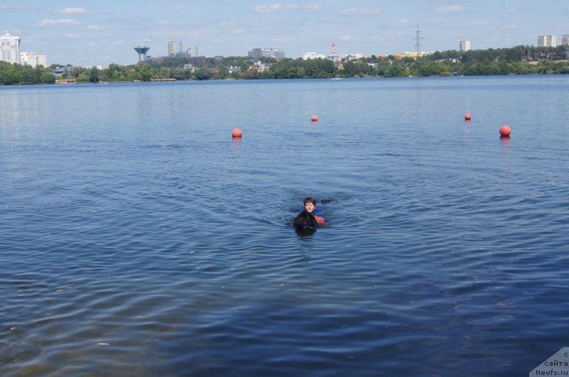 Фотография № 188079