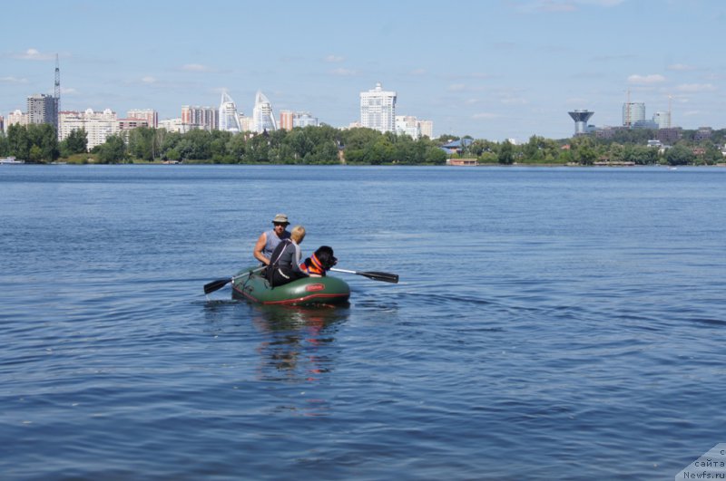 Фотография № 188080