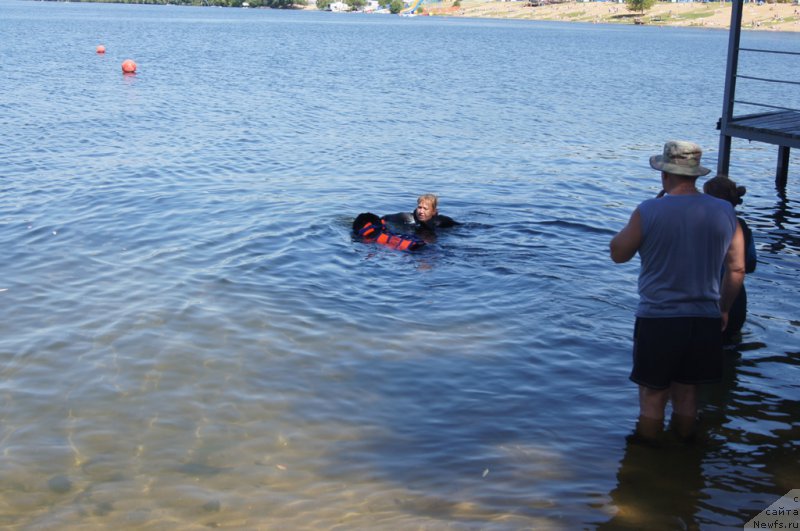 Фотография № 188091