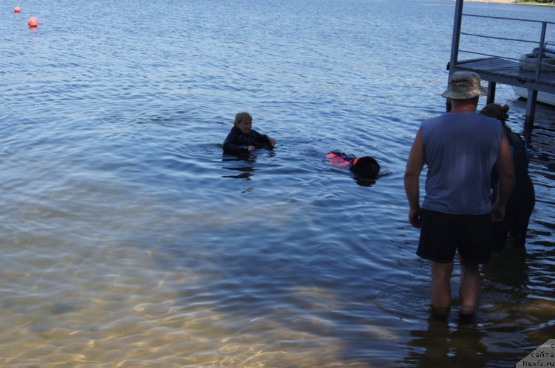 Фотография № 188092