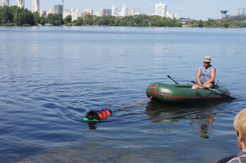 Фотография № 188097