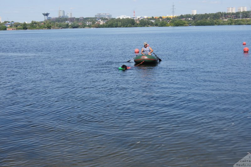 Фотография № 188100