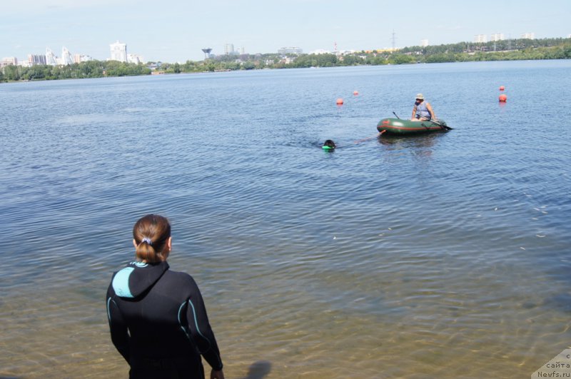 Фотография № 188101