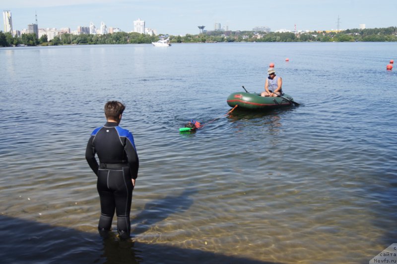 Фотография № 188103