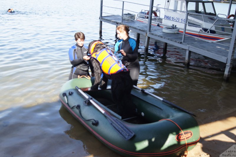 Фотография № 188105