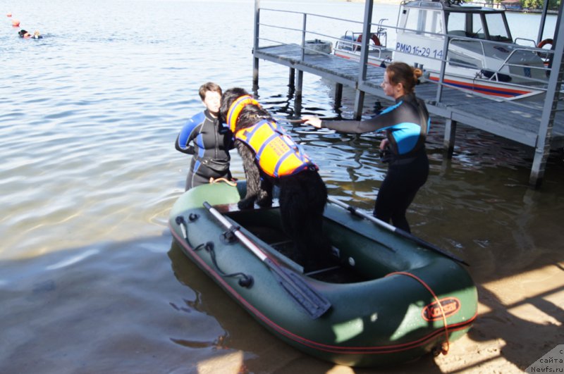 Фотография № 188106