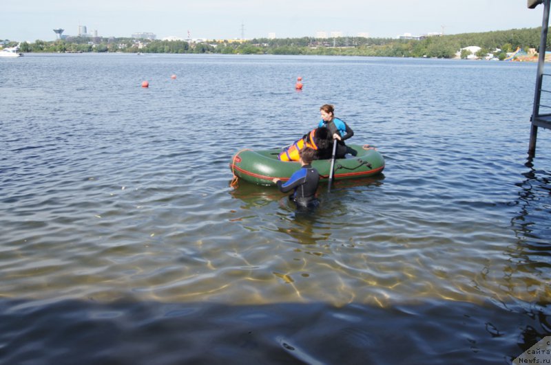 Фотография № 188107