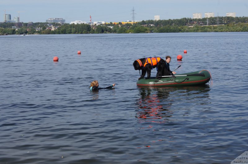 Фотография № 188110