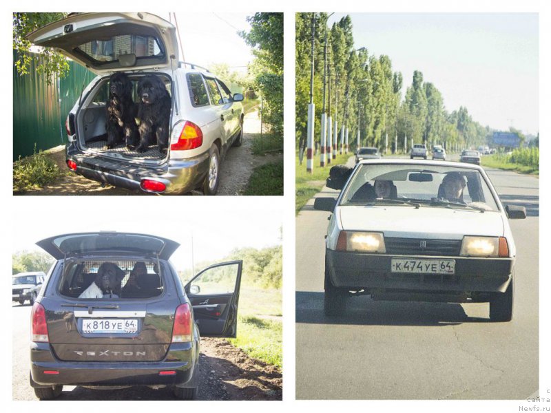 Фотография № 188114