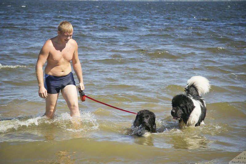 Фотография № 188121