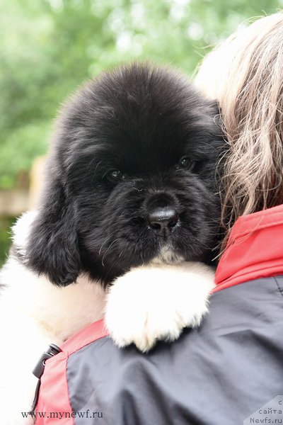 Фотография № 188165