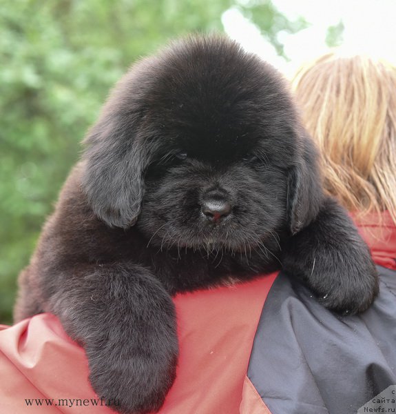 Фотография № 188177