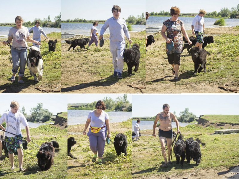 Фотография № 188191