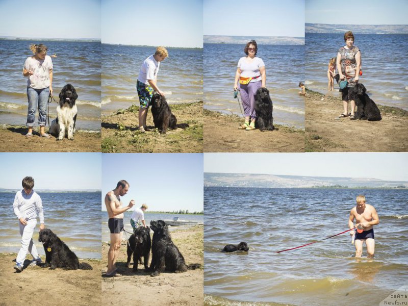 Фото: Elena Zinzyukova (Елена Зинзюкова), ньюфаундленд Stepnaya Pal'mira Estestvenno YA Luchshiy (Степная Пальмира Естественно Я Лучший), Антон, ньюфаундленд CHernyiy Balu Djons (Черный Балу Джонс), YUliya Ruzinskaya (Юлия Рузинская), ньюфаундленд CHernyiy Balu Borislav (Черный Балу Борислав), Lyubov' Titova (Любовь Титова), ньюфаундленд CHernyiy Balu Elisey (Черный Балу Елисей), Кирилл, ньюфаундленд N'yu-Pom-SHir Bond Djeyms (Нью-Пом-Шир Бонд Джеймс), Andrey Volkov (Андрей Волков), ньюфаундленд CHernyiy Balu Dobryinya (Черный Балу Добрыня), ньюфаундленд L'vinoe Serdce (Львиное Сердце), Aleksandr CHernyavskiy (Александр Чернявский), ньюфаундленд CHernyiy Balu Eseniya (Черный Балу Есения)