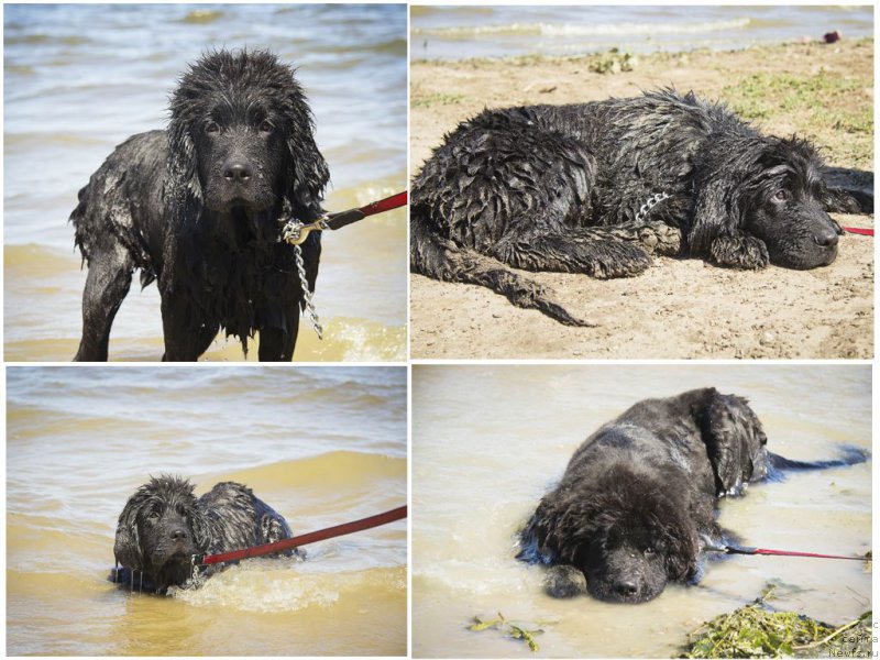 Фотография № 188195