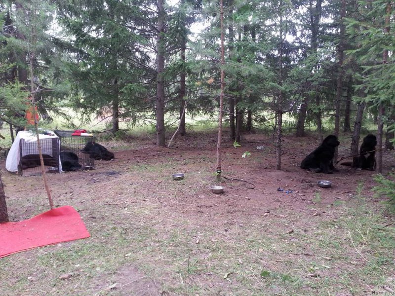 Фотография № 188205