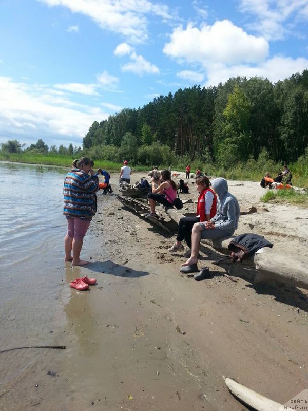 Фотография № 188206