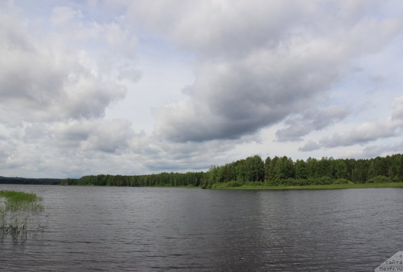 Фотография № 188234