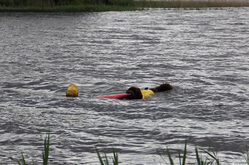 Фотография № 188244