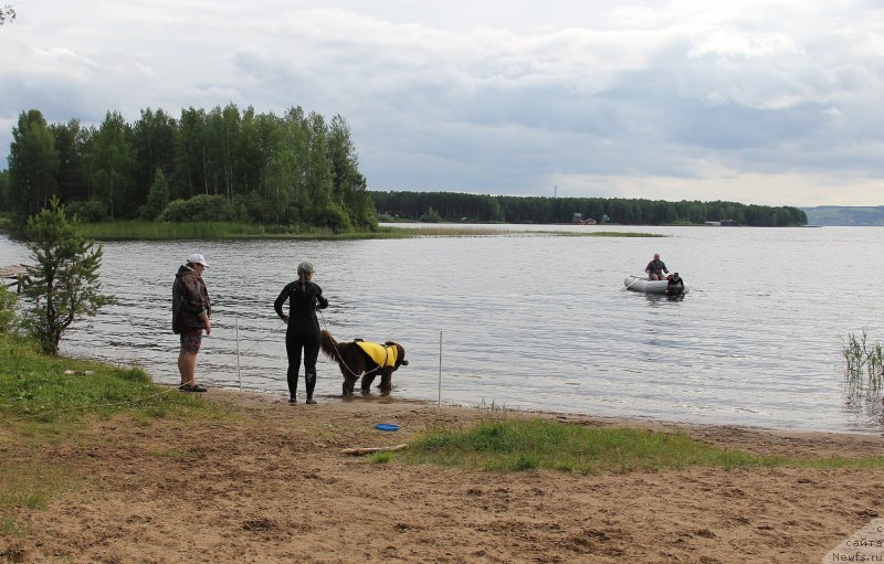 Фотография № 188246