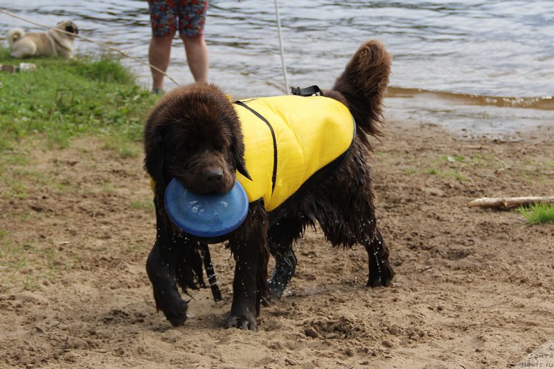 Фотография № 188249