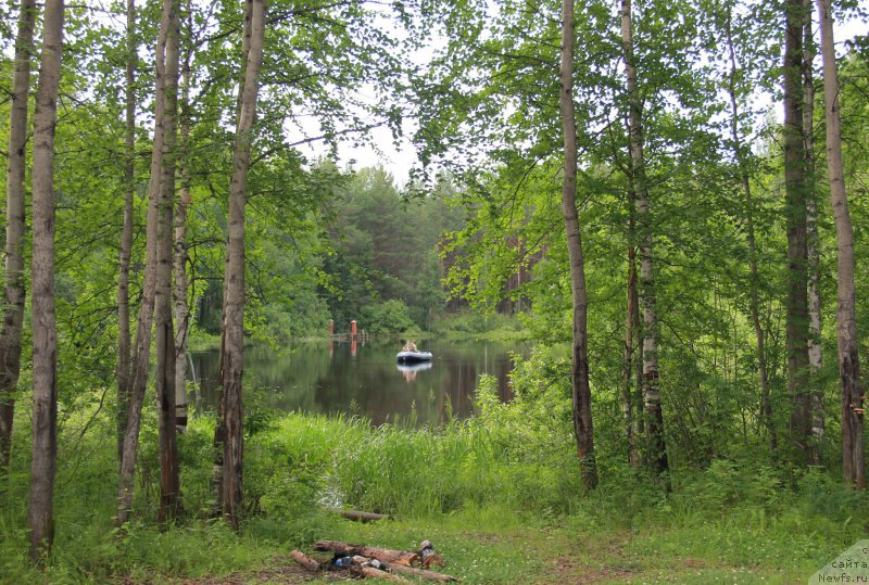 Фотография № 188250