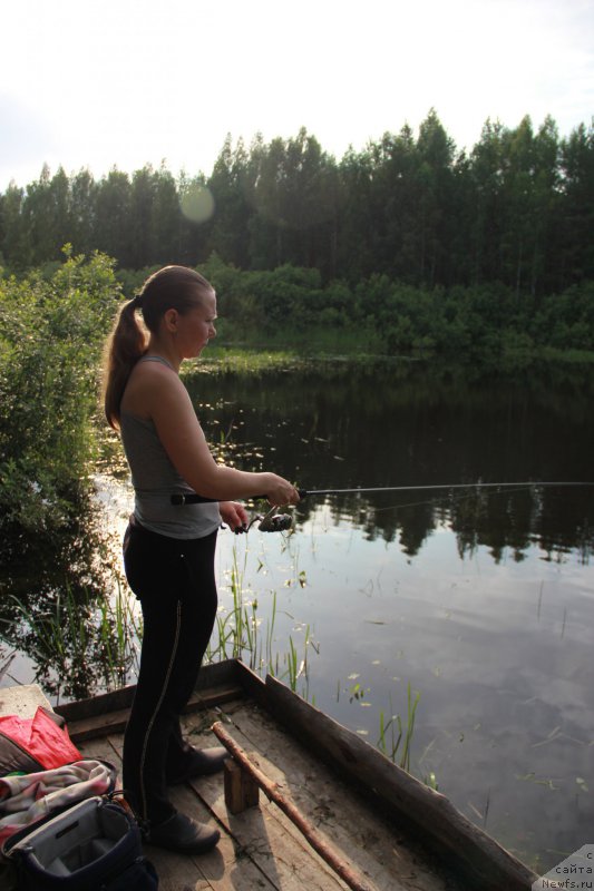 Фотография № 188251