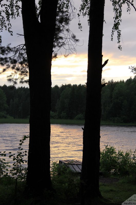 Фотография № 188254