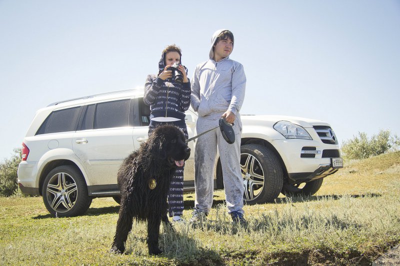 Фото: Galina Rossoshanskaya (Галина Россошанская), Кирилл, ньюфаундленд N'yu-Pom-SHir Bond Djeyms (Нью-Пом-Шир Бонд Джеймс)