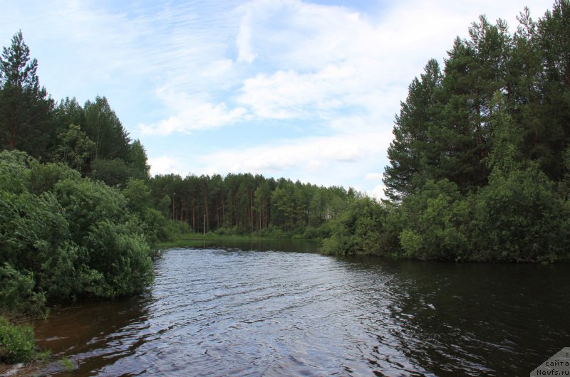 Фотография № 188273