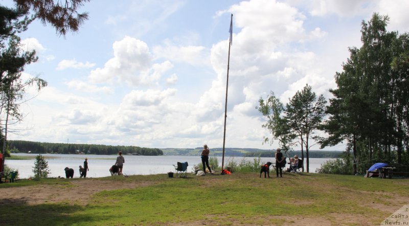 Фотография № 188276