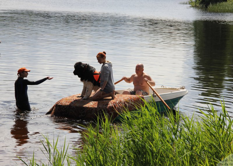 Фотография № 188278