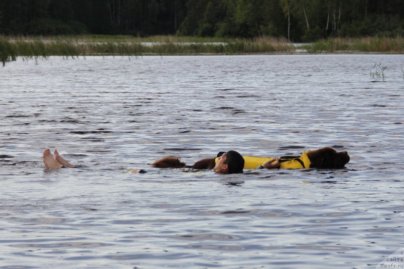 Фотография № 188280